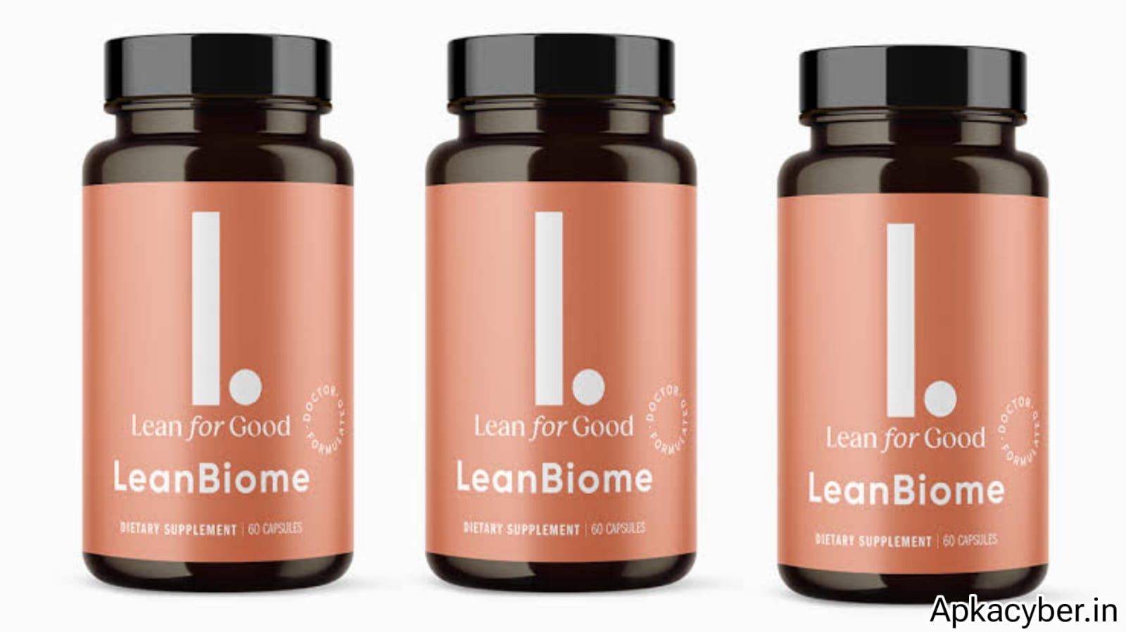 Review of LeanBiome