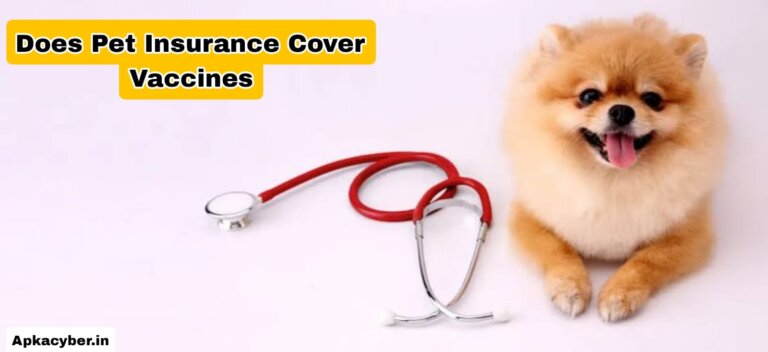 pet insurance