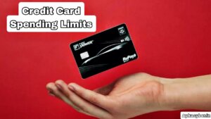 Credit Card Spending Limit